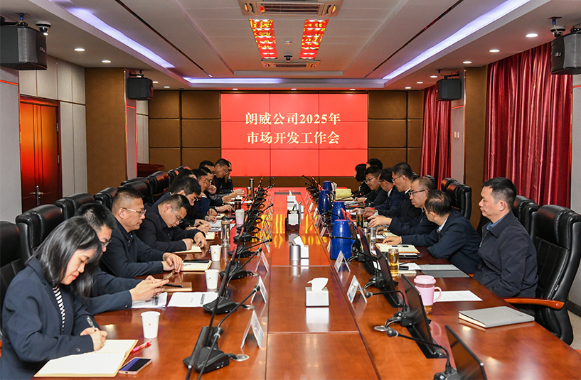 朗威公司召開2025年市場開發工作部署會
