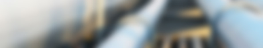 專業(yè)服務(wù)
